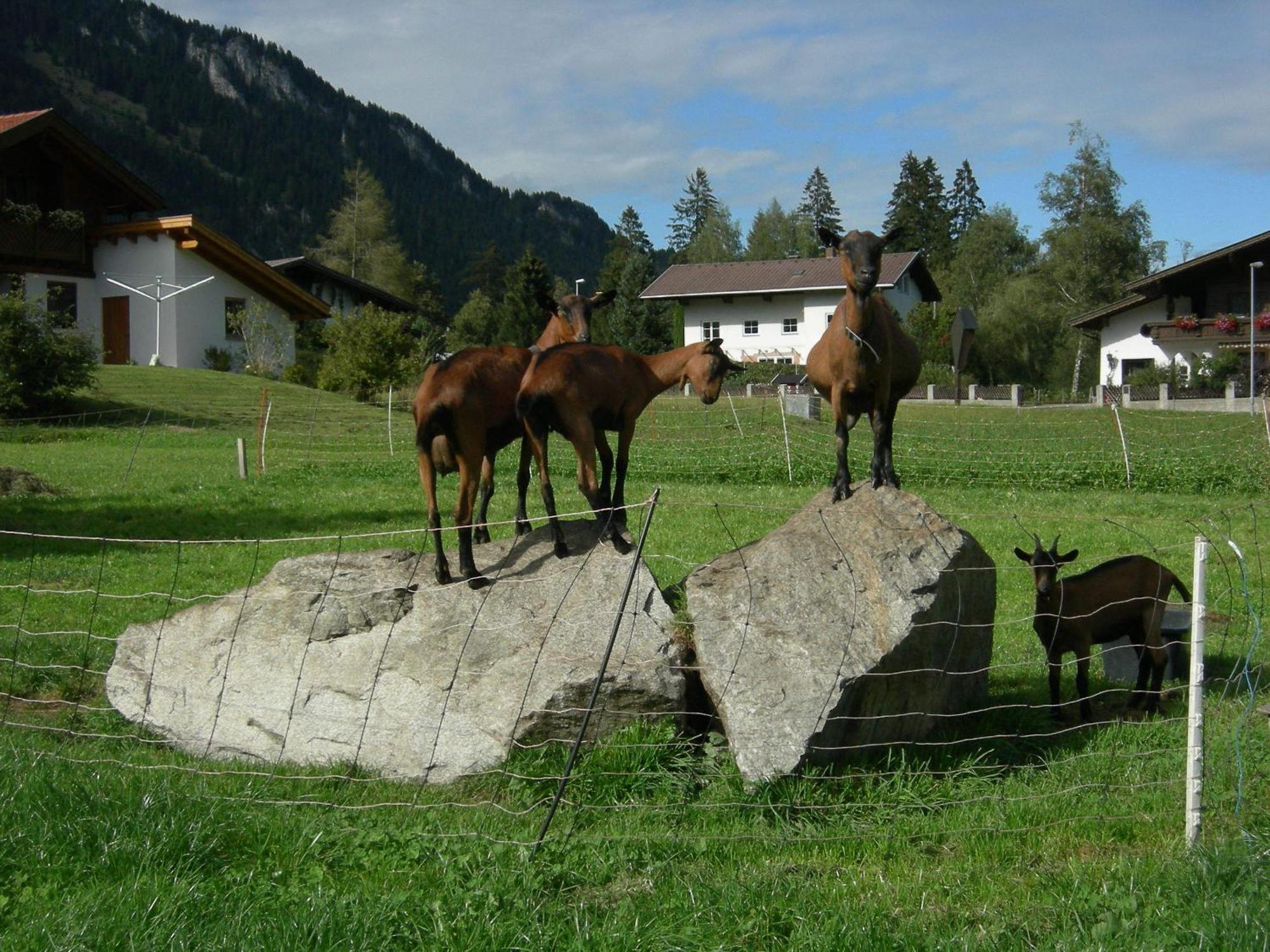 Готель S'Hoamatl Hofen Екстер'єр фото